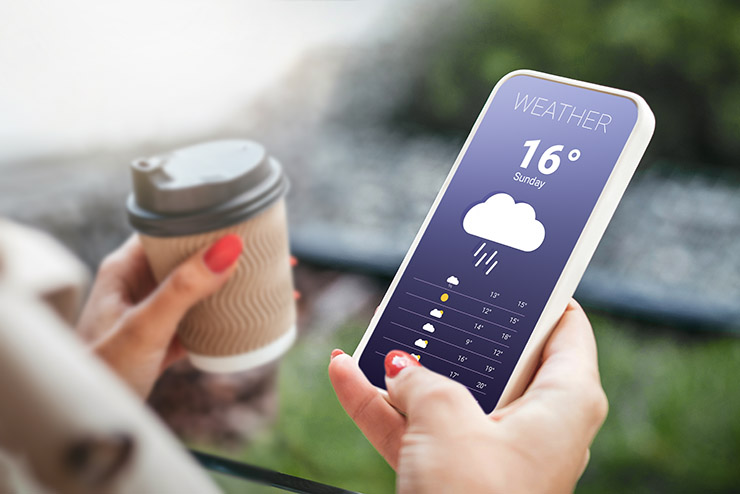 female hand holds a mobile phone and looks at the weather forecast