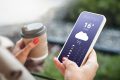 female hand holds a mobile phone and looks at the weather forecast